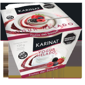 YOGURT HELADO FRUTOS DEL BOSQUE X120GR KARINAT